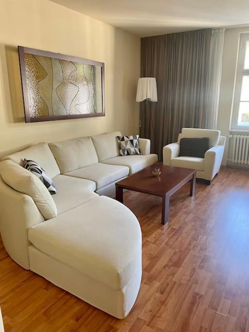 Huge Two Floor On The Park Colonnade With Free Parking For One Car, 160 Sqm * Karlovy Vary